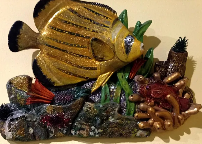 Ti Laura Praia Barra